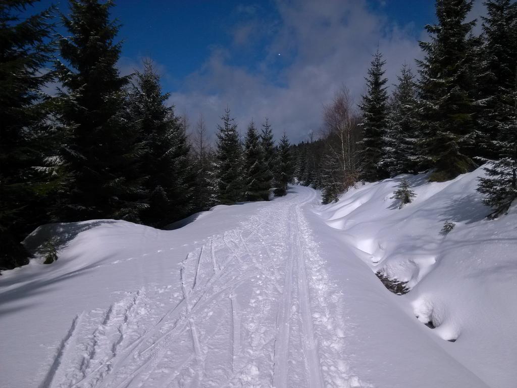 Pension&Restaurant Krakonoš Harrachov Bagian luar foto
